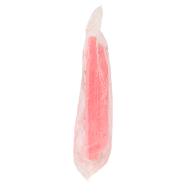 Natural Bibo Color piatti piani Rosa Biodegradabili e compostabili 20 pz