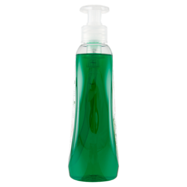 Scala Piatti Concentrato Igienizzante Zenzero e Limone 500 ml