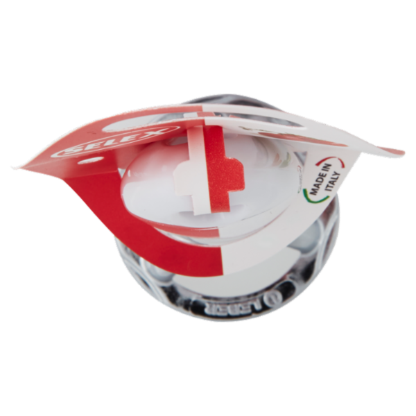 Selex Stampo per Ravioli