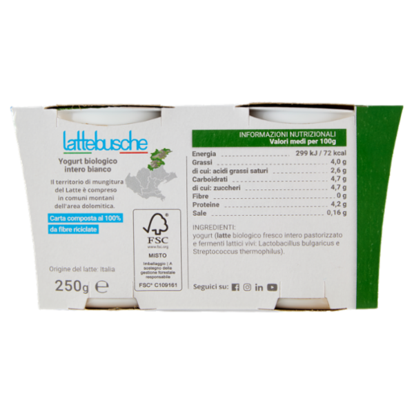 lattebusche Yogurt Bio Bianco 2 x 125 g
