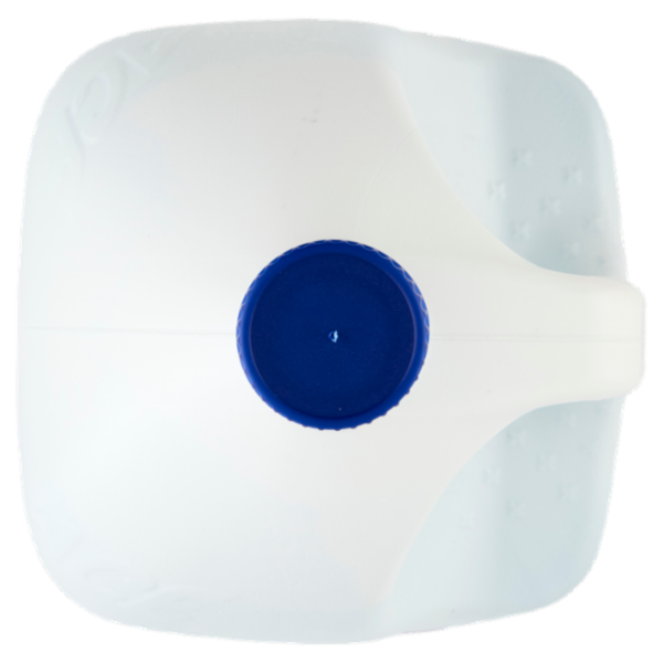 Ace Candeggina Più +Denso Armonie floreali 3 L