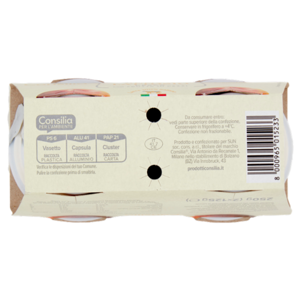 Consilia Yogurt Magro Senza Lattosio Pesca 2x125 g