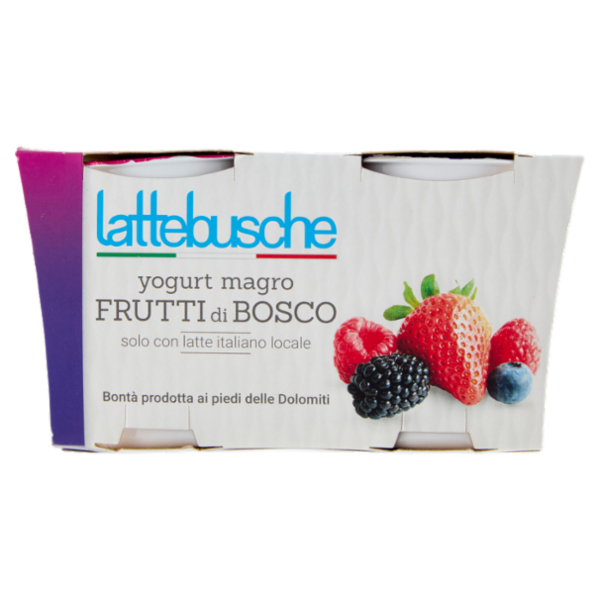 lattebusche yogurt magro Frutti di Bosco 2 x 125 g