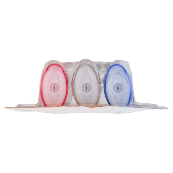 Bic Maxi 3 accendini