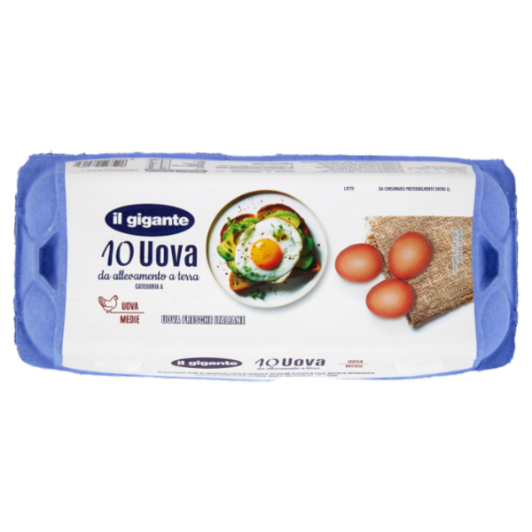 IL GIGANTE Uova da allevamento a terra 10 Uova Fresche Medie