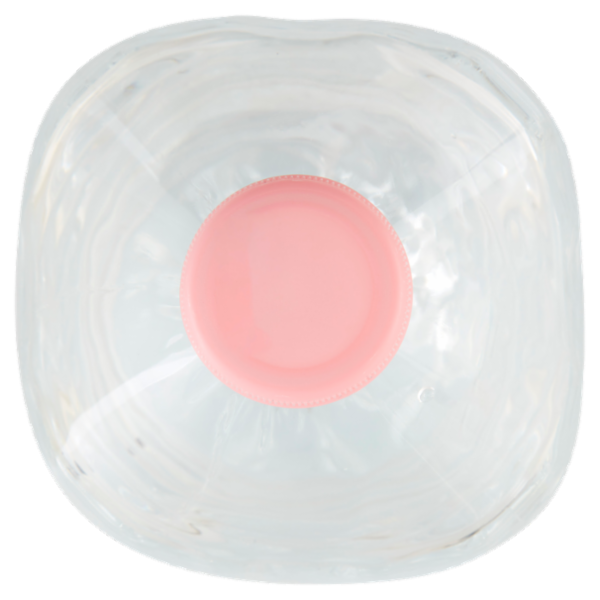 Alpe Guizza Fonte Caudana Naturale 1,5 L