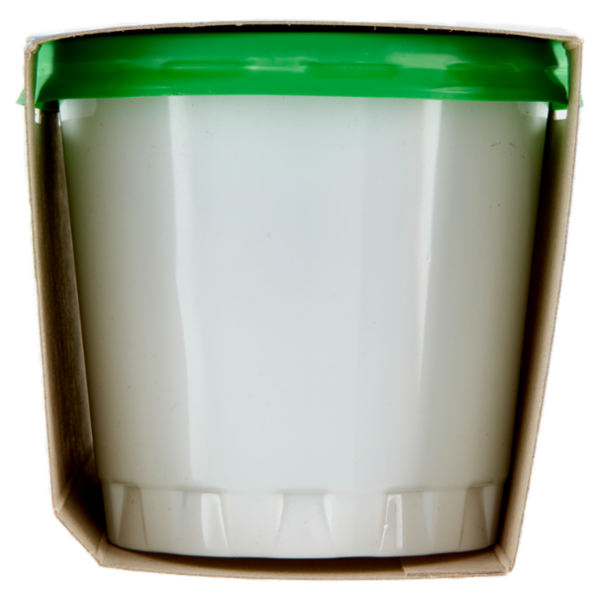 Alpigel Granite gusto Menta senza coloranti 2 x 135 g