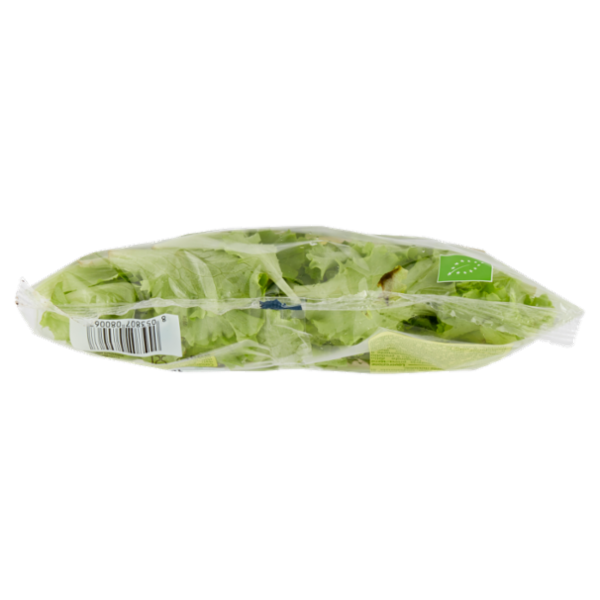 alce nero Lattughino 80 g