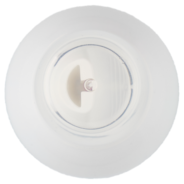 Intesa styling Spuma Forte 300 mL