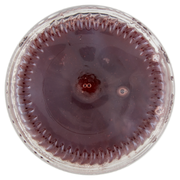 Bio Più Ti Voglio Bere Melograno 750 ml