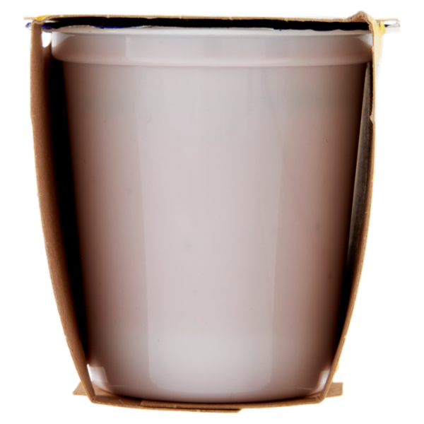 Centrale del latte Vicenza Yogurt Intero Frutta Frullata Ciliegia 2 x 125 g