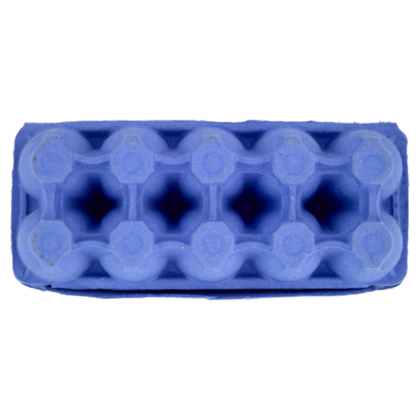 IL GIGANTE Uova da allevamento a terra 10 Uova Fresche Medie