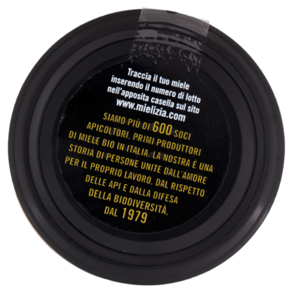 Mielizia Bio Miele Italiano di Clementino non Pastorizzato Italia 300 g