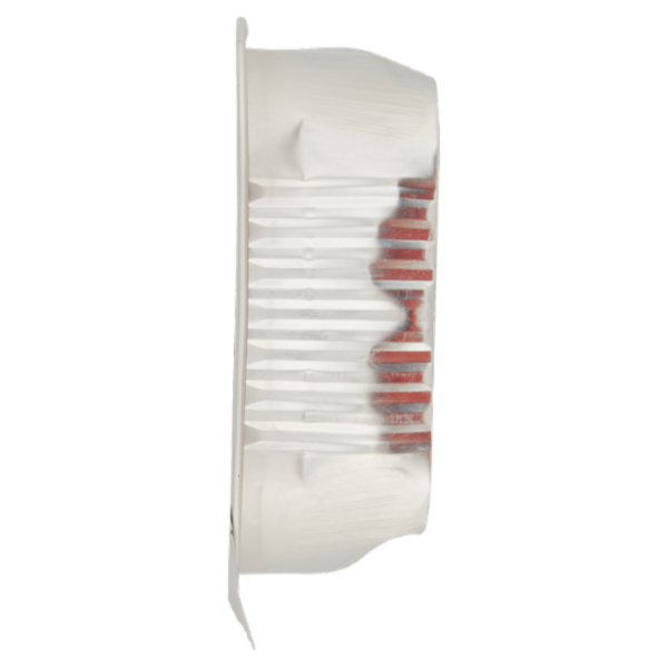 Special Dog Excellence Adult Patè Monoprotein* Solo Maiale 300 g