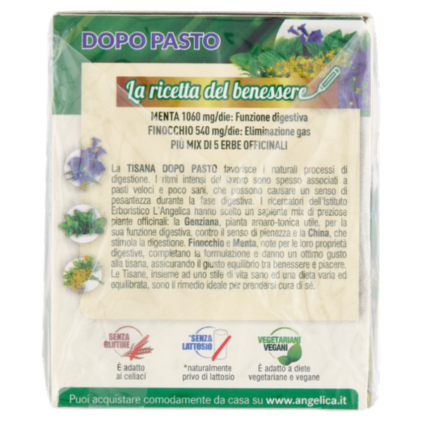 L'Angelica Le Tisane Nutraceutica Dopo Pasto 20 Filtri 40 g