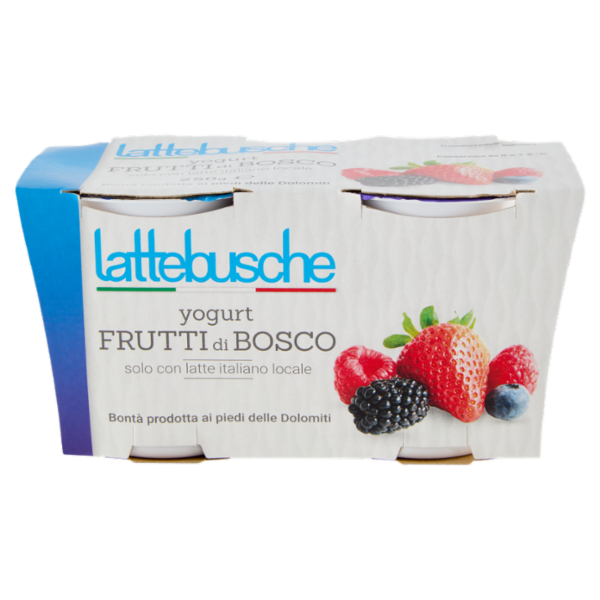 lattebusche yogurt Frutti di Bosco 2 x 125 g