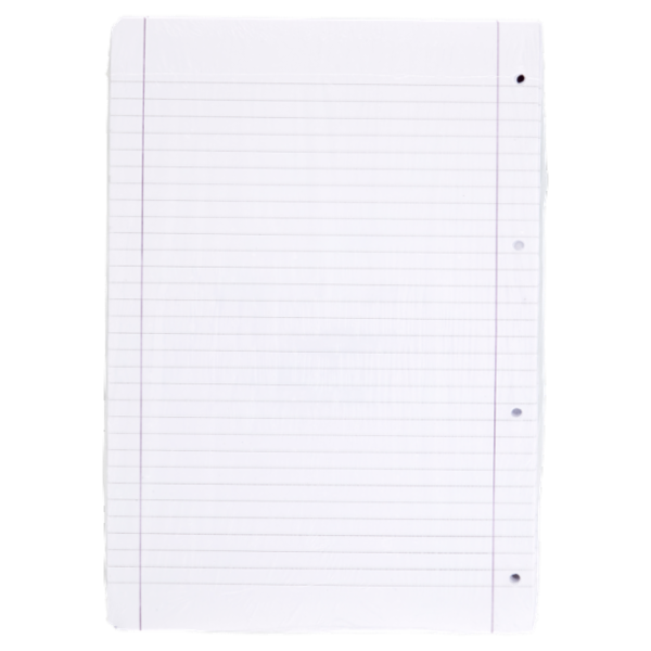 Selex Ricambio Bianco Quaxima Formato A4 80 Fogli 80 g Riga Unica con Margine