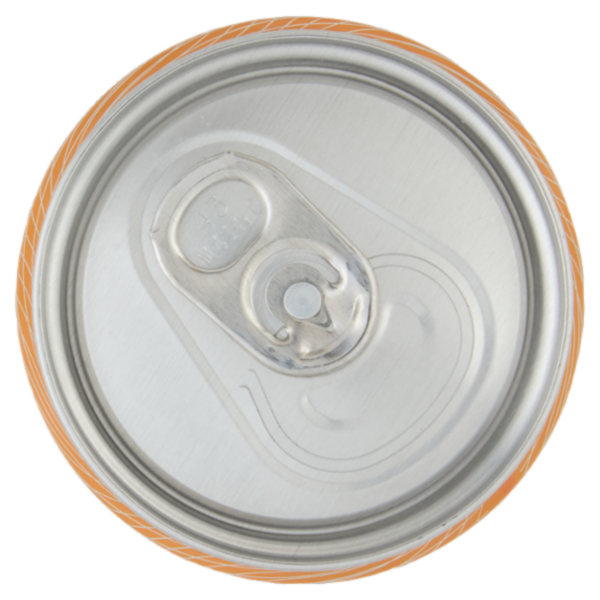 SANPELLEGRINO Naturali Aranciata 33 cl