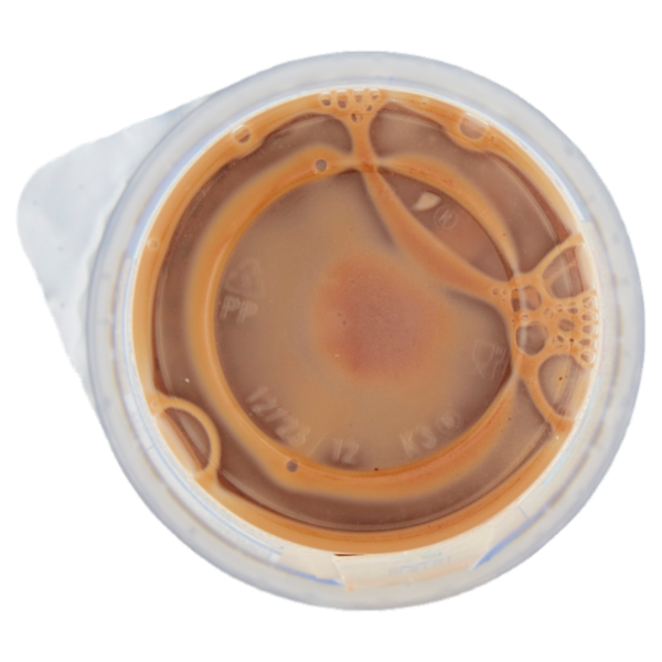 NESCAFÉ Latte Cappuccino 190 ml