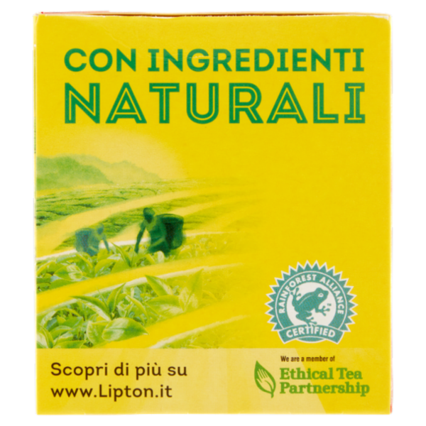 Lipton Tè Nero allo Zenzero 20 Filtri 30 g