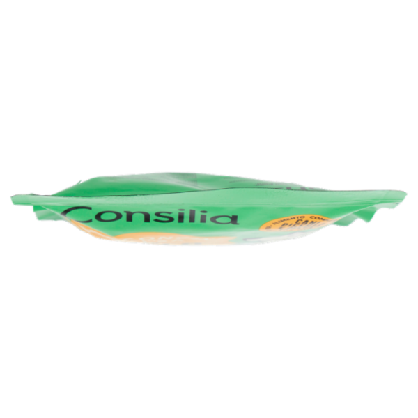 Consilia Derik Cane Bocconcini in Salsa con Pollo 100 g