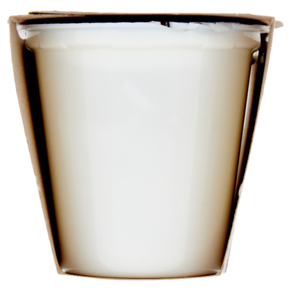 Consilia Yogurt Magro Senza Lattosio Bianco 2x125 g