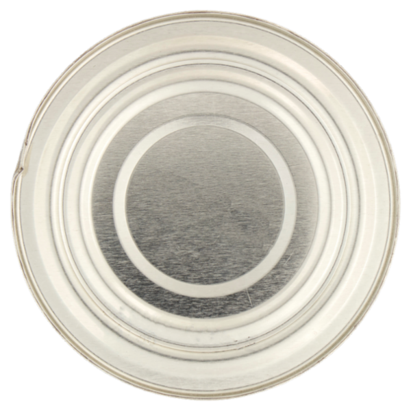 Consilia Ananas allo Sciroppo 565 g