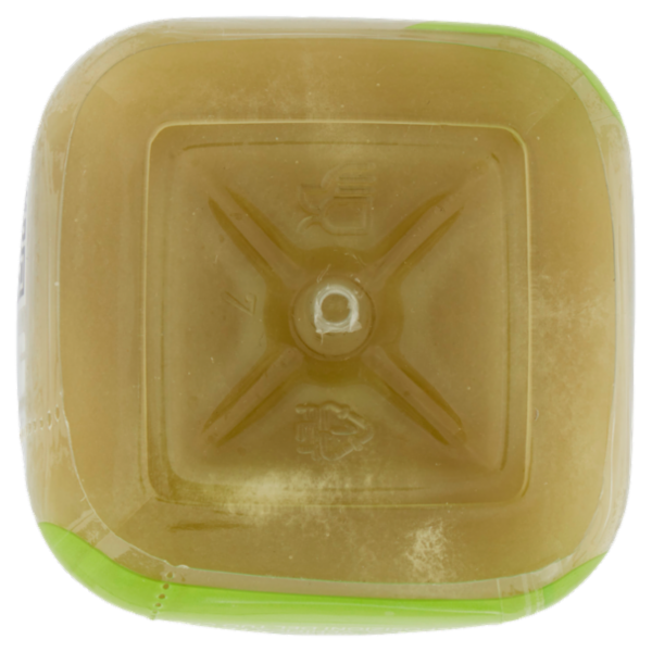 OrtoRomi Estratto di Kiwi kale, salvia e mela 250 ml