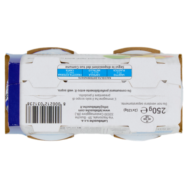 lattebusche yogurt Macedonia 2 x 125 g