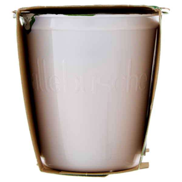 lattebusche Yogurt Bio Frutti Rossi 2 x 125 g