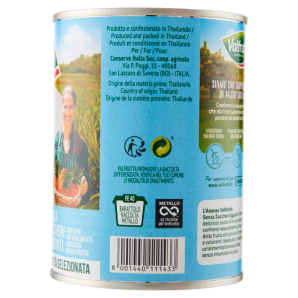 Valfrutta Ananas in succo 565 g