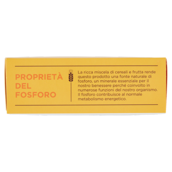 Germinal Bio Snack Cereali Cocco e Limone 6 x 18,3 g