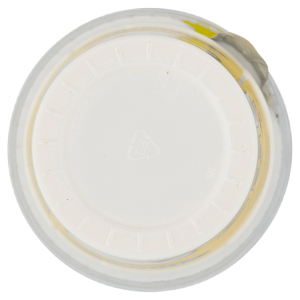 Arborea Yogurt Intero da Latte di Alta Qualità Bianco 500 g