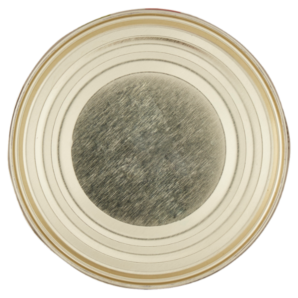 D'Amico Fagioli Borlotti Lamon 400 g