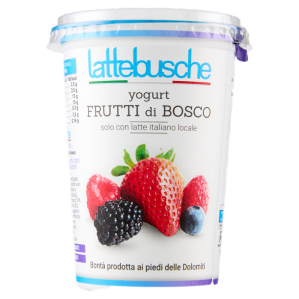 lattebusche yogurt Frutti di Bosco 500 g