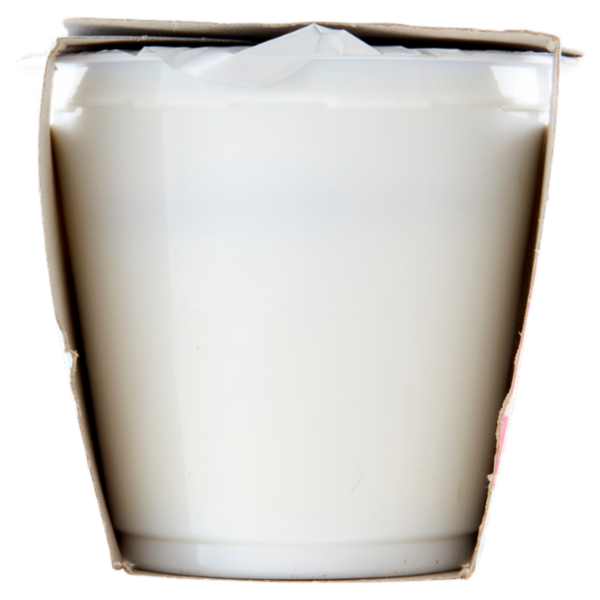 Selex Vivi Bene Yogurt Magro Vaniglia Senza Lattosio 2x125 g