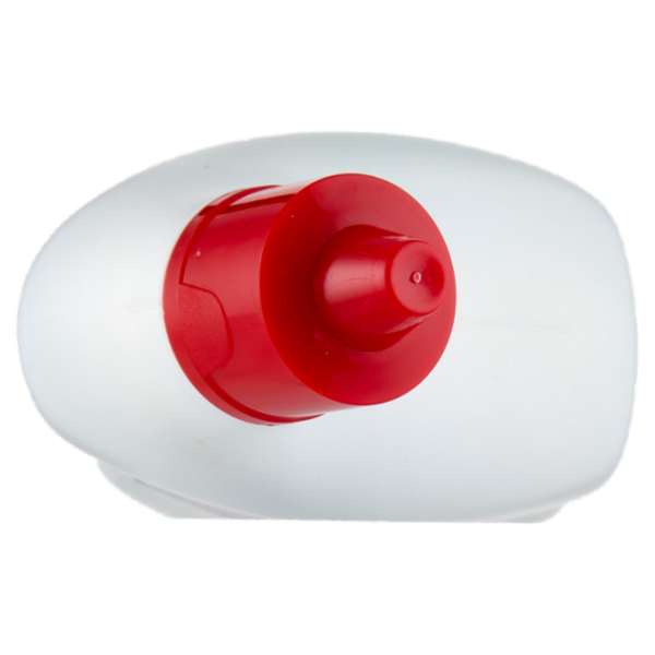 IL GIGANTE WC Gel disincrostante 750 ml