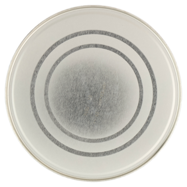 NESTLÉ NIDINA Optipro 1 Latte per lattanti in polvere dalla nascita Latta 800g