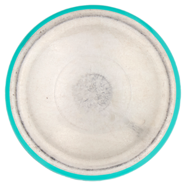 L'Oréal Paris Ritocco Perfetto - Spray istantaneo ritocco radici - 4 Biondo Scuro