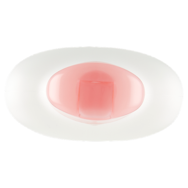 Venus Bagno rosa & aloe 650 mL