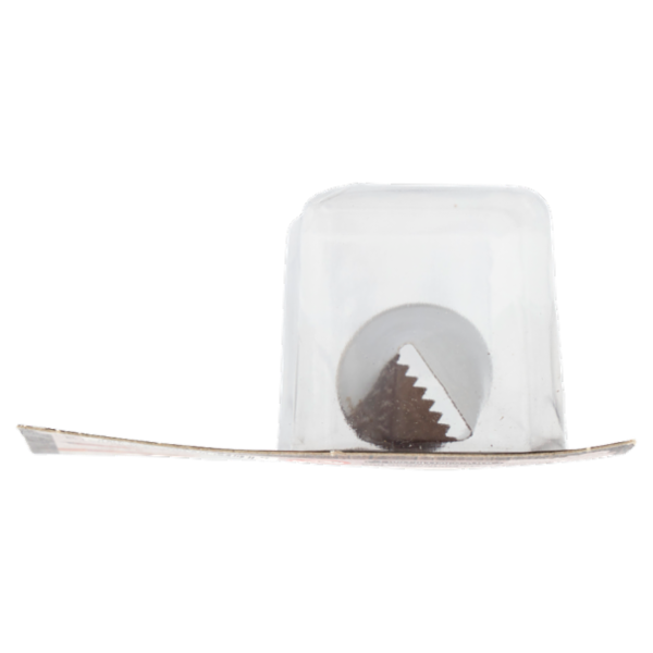 F.lli Rebecchi Valtrebbia Pasticceria Creativa Bocchetta in Acciaio Inox