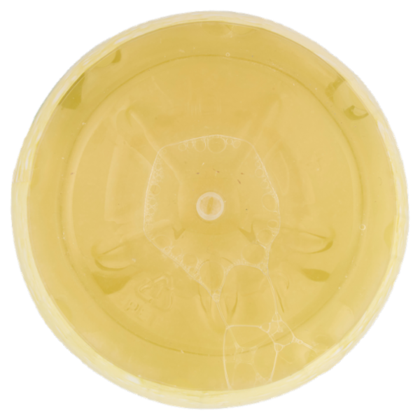 Giancarlo Polenghi Succo di Limone 1000 ml