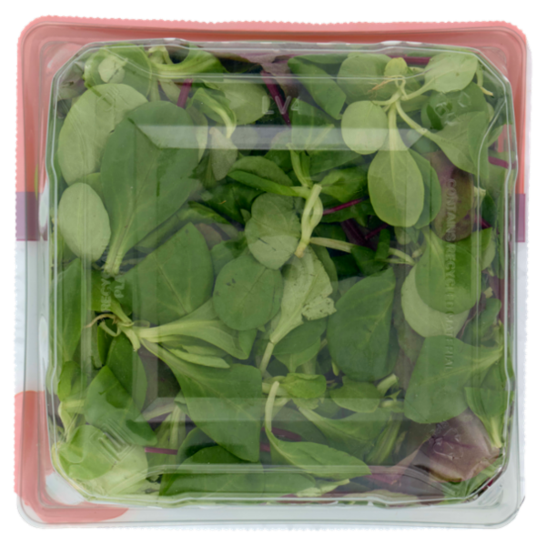 DimmidiSì Smart! La Vaschetta Intelligente Valeriana & Bull's Blood 140 g