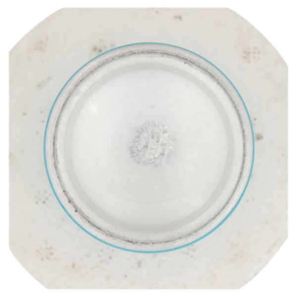 Tesori d'Oriente Ayurveda Profumo Aromatico Amla e Patchouli 100 ml