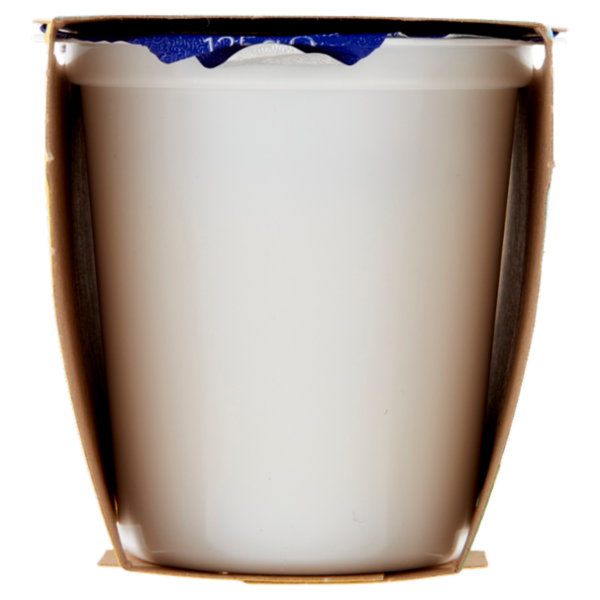 Centrale del latte Vicenza Yogurt Intero Frutta Frullata Limone 2 x 125 g
