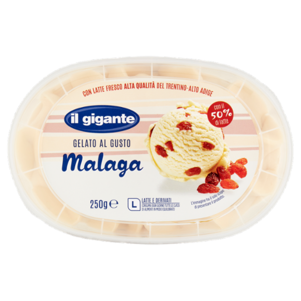 IL GIGANTE Gelato al Gusto Malaga 250 g