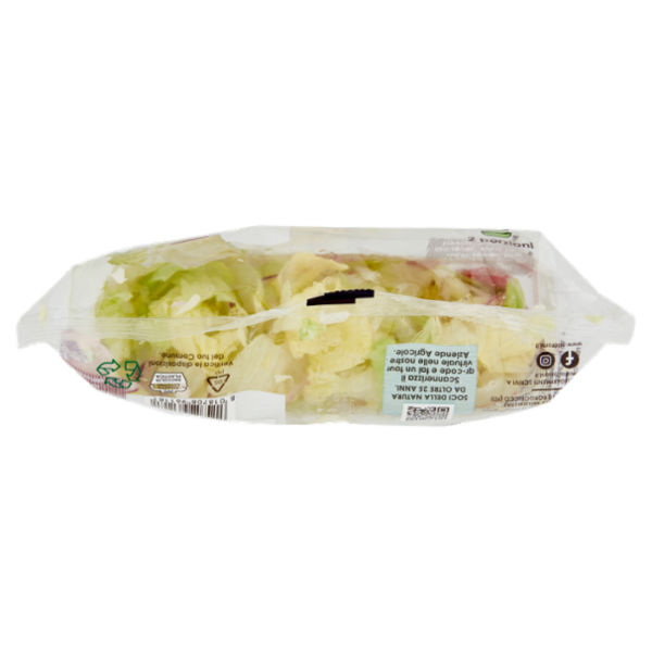 OrtoRomi Iceberg & Cipolla 250 g