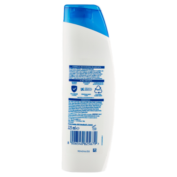 Head & Shoulders Antiforfora Shampoo + Balsamo 2in1 Lisci & Setosi 225 ml