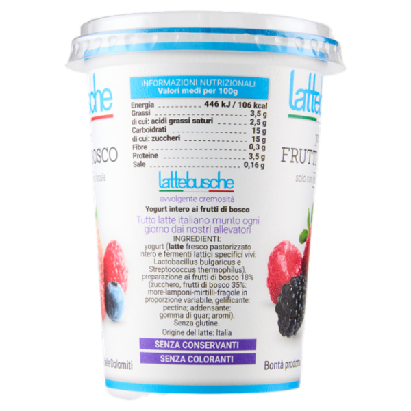 lattebusche yogurt Frutti di Bosco 500 g