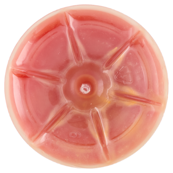 Scaldasole la Nostra Spremuta Biologica di Arancia Rossa 750 ml